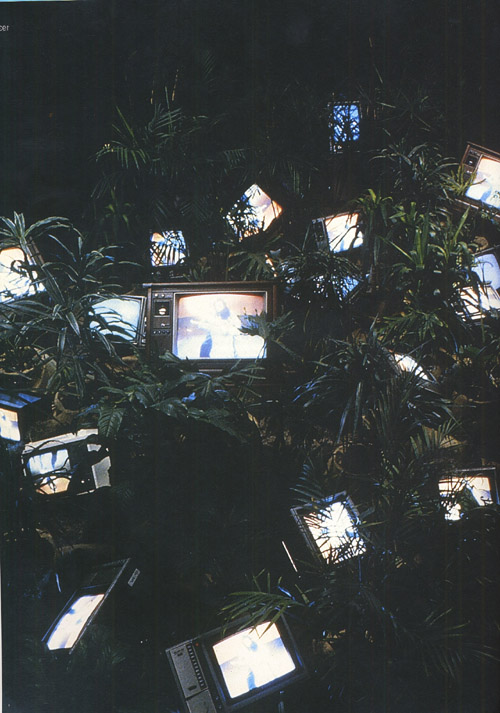 tv garden