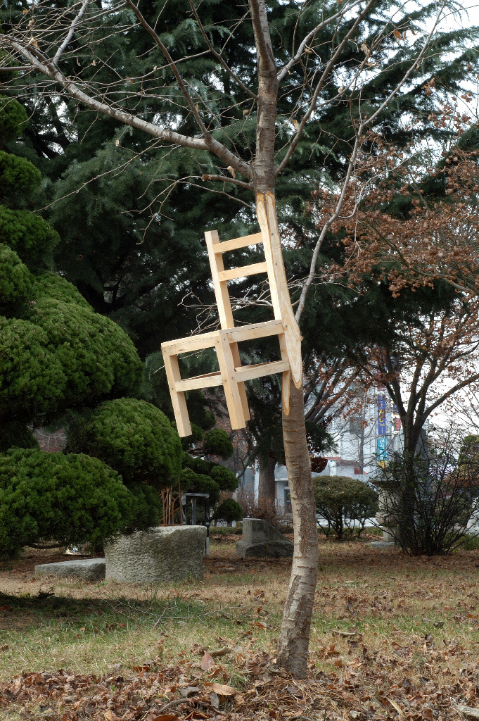 Chair Oak tree